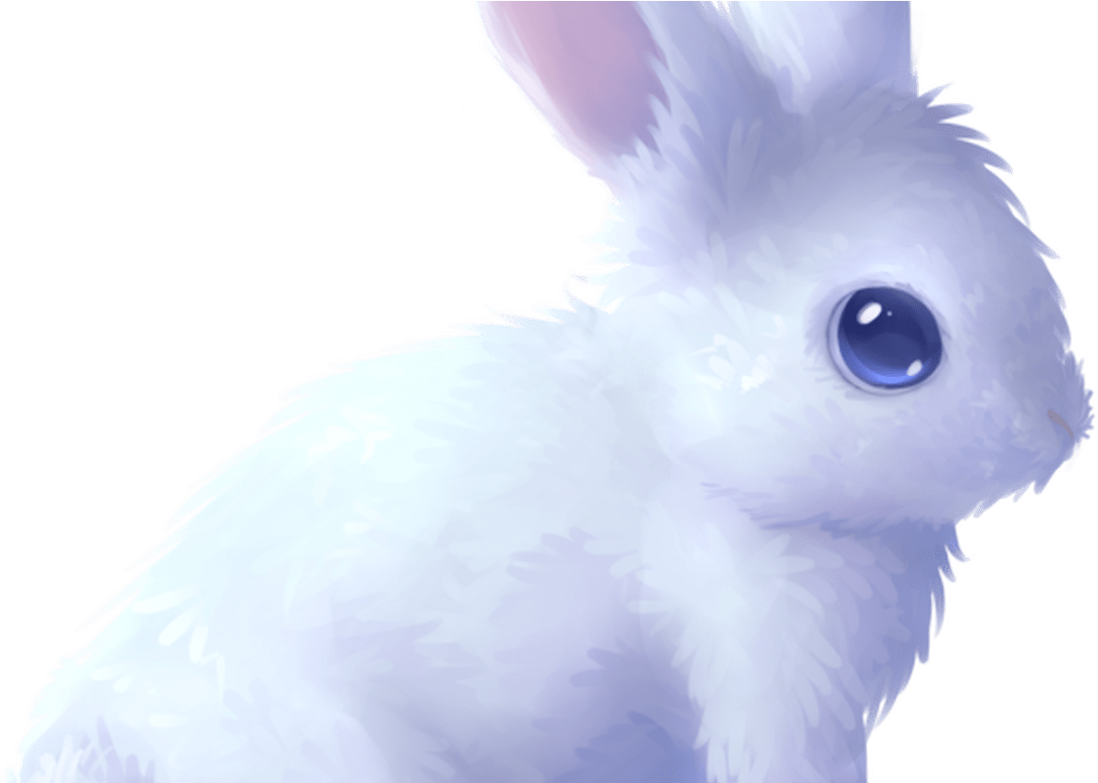 Rabbits Drawing Cute Animal For Free Download On Mbtskoudsalg - Drawing (1368x855), Png Download