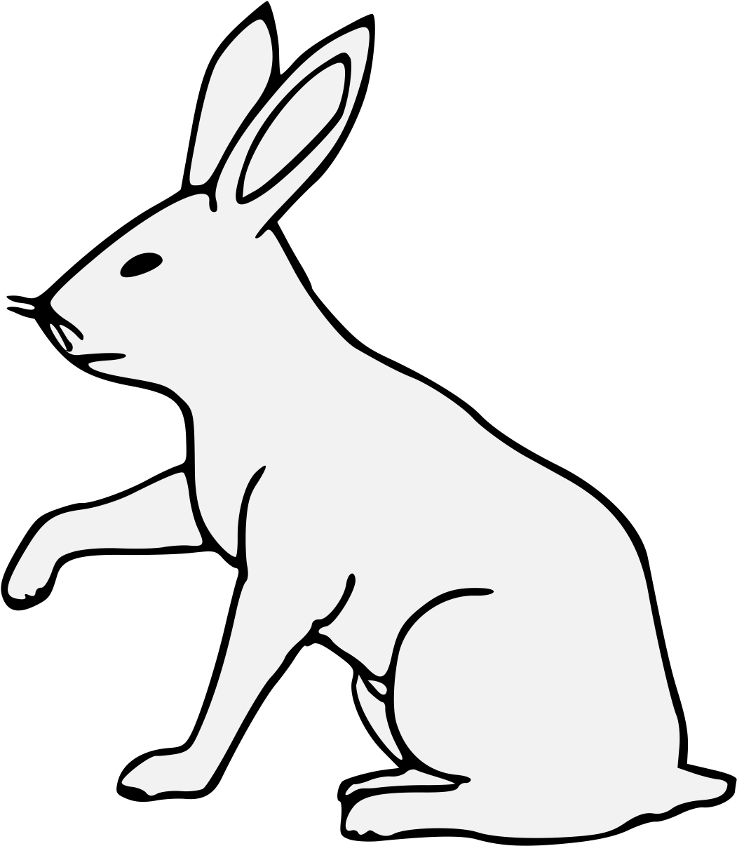Details, Png - Domestic Rabbit (1068x1225), Png Download