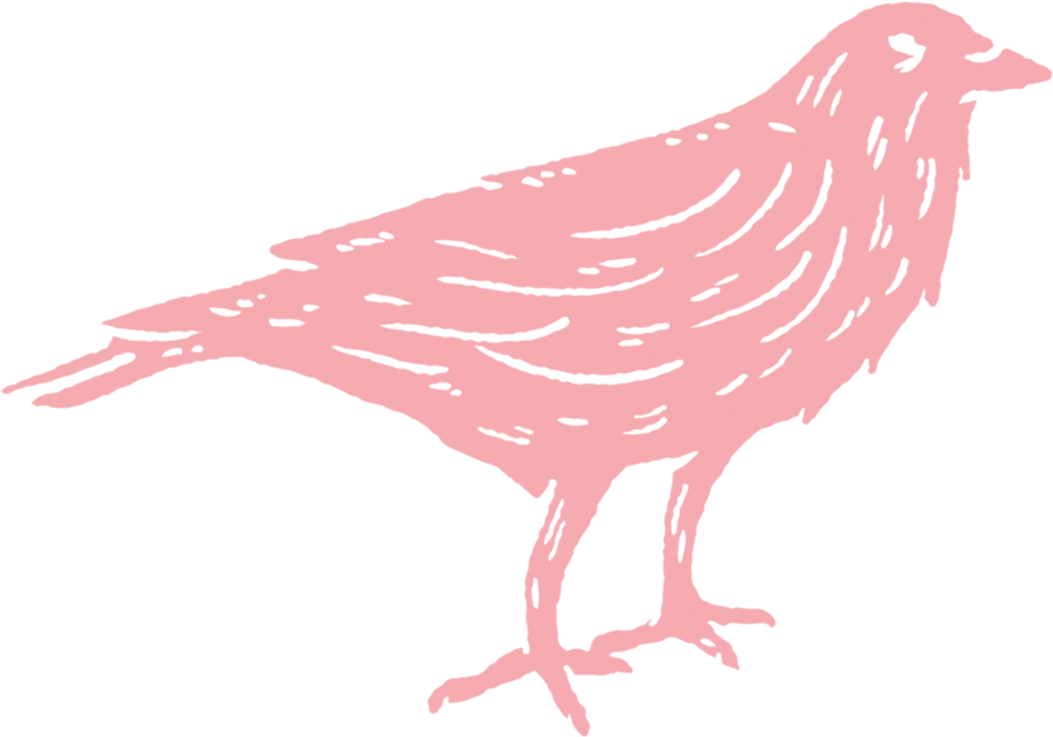 Wc Logo Crow Pink (1000x1000), Png Download