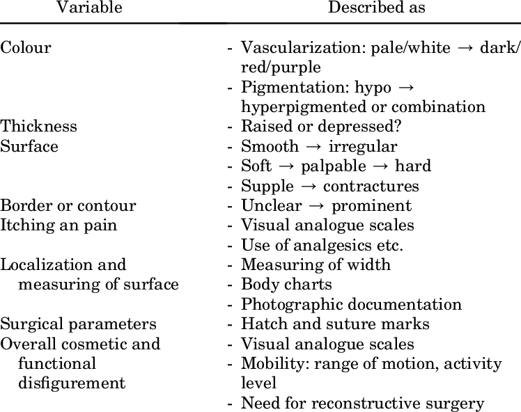 The Most Important Variables Assessed By Scar Scales - Evaluation (748x592), Png Download