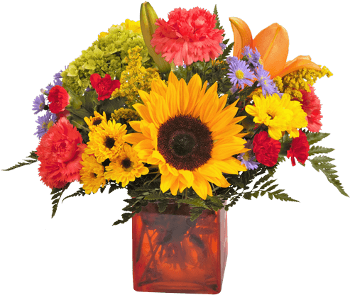 Tuscan Cube - Royer's Flowers & Gifts (500x611), Png Download