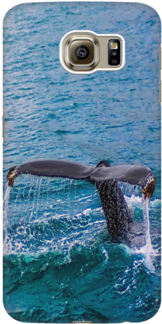 Whale Tail Samsung Galaxy 3d Hard Case - Humpback Whale (480x480), Png Download