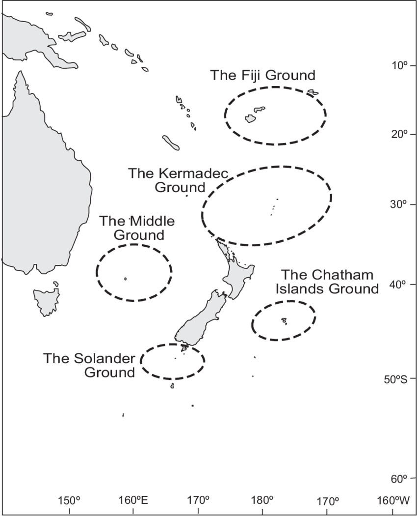 Concentrations Of Sperm Whales Around New Zealand Waters - Diagram (850x1050), Png Download