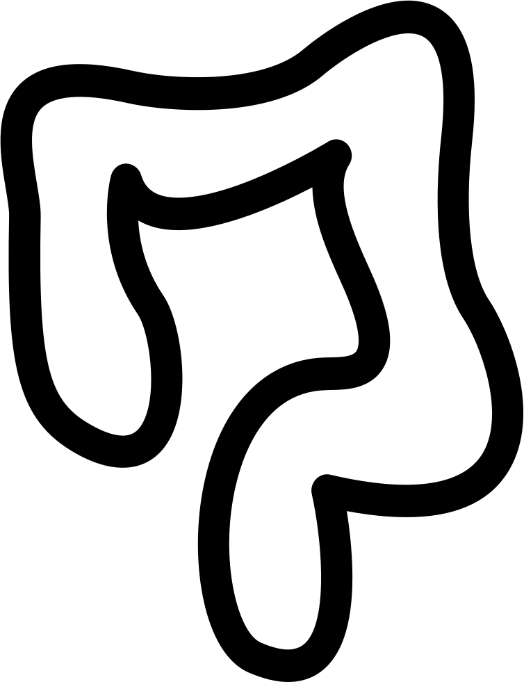 Large Intestines Outline Comments - Icône Intestin Noir Et Blanc (754x981), Png Download
