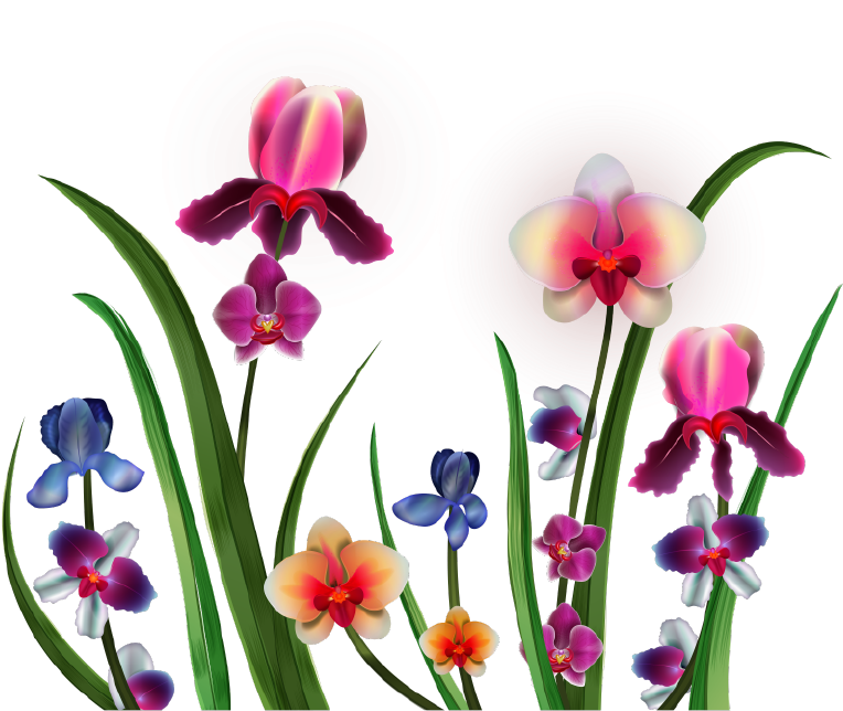 Visit - Clip Art (1166x1054), Png Download