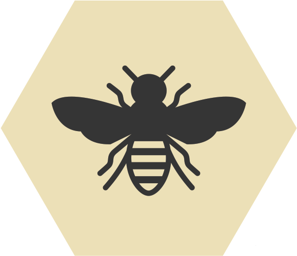 Bee Icon Png (705x598), Png Download