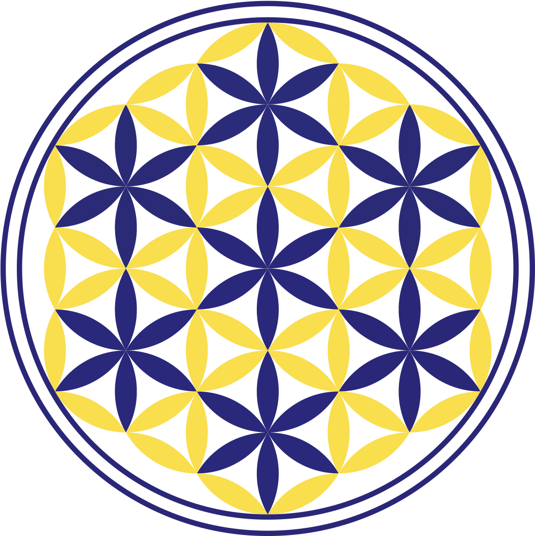 Life-icon - Overlapping Circles Grid (1049x1072), Png Download