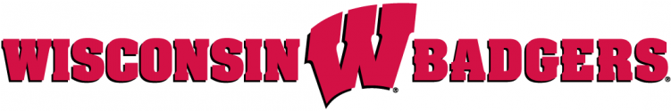 Wisconsin Badgers Iron Ons - Wisconsin Badgers (750x930), Png Download