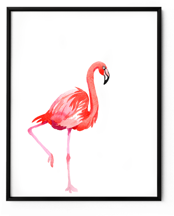 Flamenco Pajaro En Aquarela (621x763), Png Download