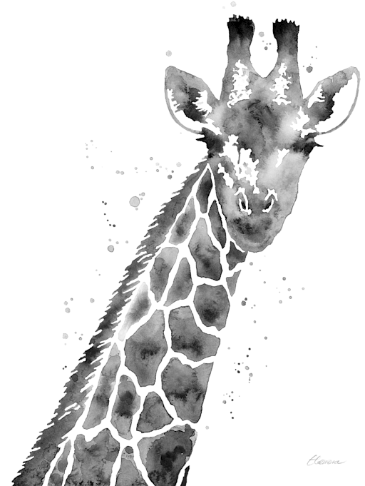 Bleed Area May Not Be Visible - Giraffe In Black And White (524x700), Png Download