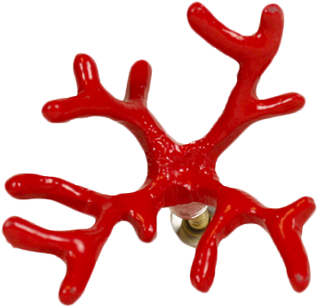 Red Coral Knob - Coral Knob (394x398), Png Download