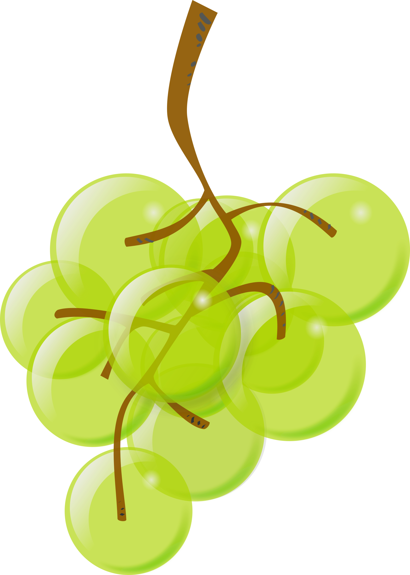 This Free Icons Png Design Of Green Grapes (1713x2400), Png Download
