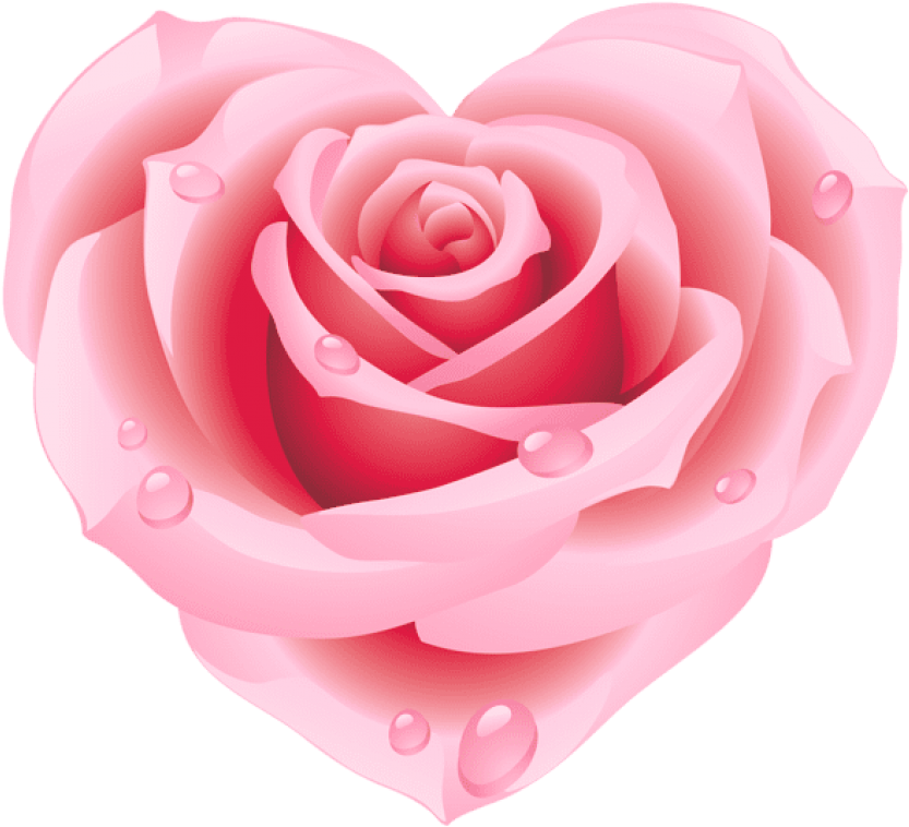 Large Pink Rose Heart Clipart - Pink Rose Clip Art (524x479), Png Download