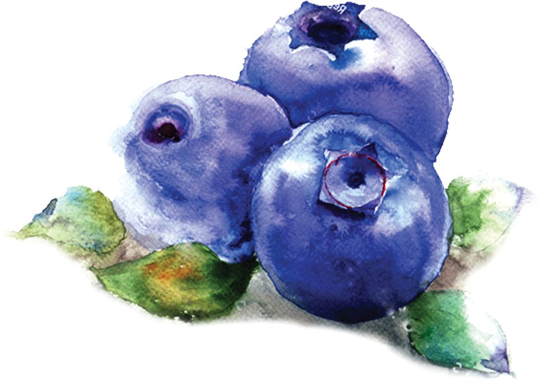 Melhore A Sua Alimentação E Mude O Seu Estilo De Vida - Blueberry (1155x880), Png Download
