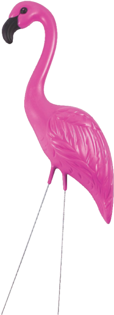 Pink Flamingo - Pink Flamingos (400x400), Png Download