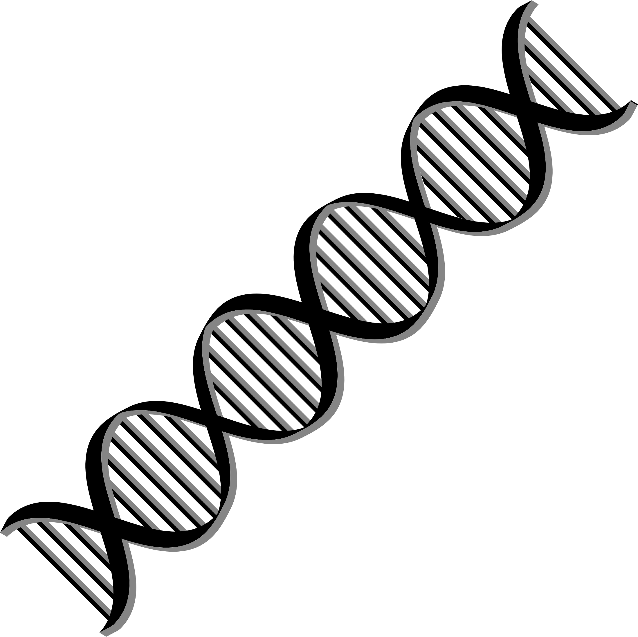 This Free Icons Png Design Of Dna Helix Variation 2 (2198x2194), Png Download