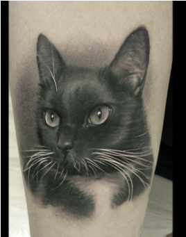 David Vega - Realism (450x340), Png Download