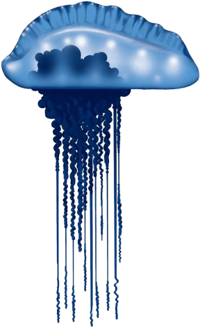 Free Png Blue Bottle Jellyfish Photo Png Images Transparent - Blue Bottle Jellyfish Cartoon (480x480), Png Download
