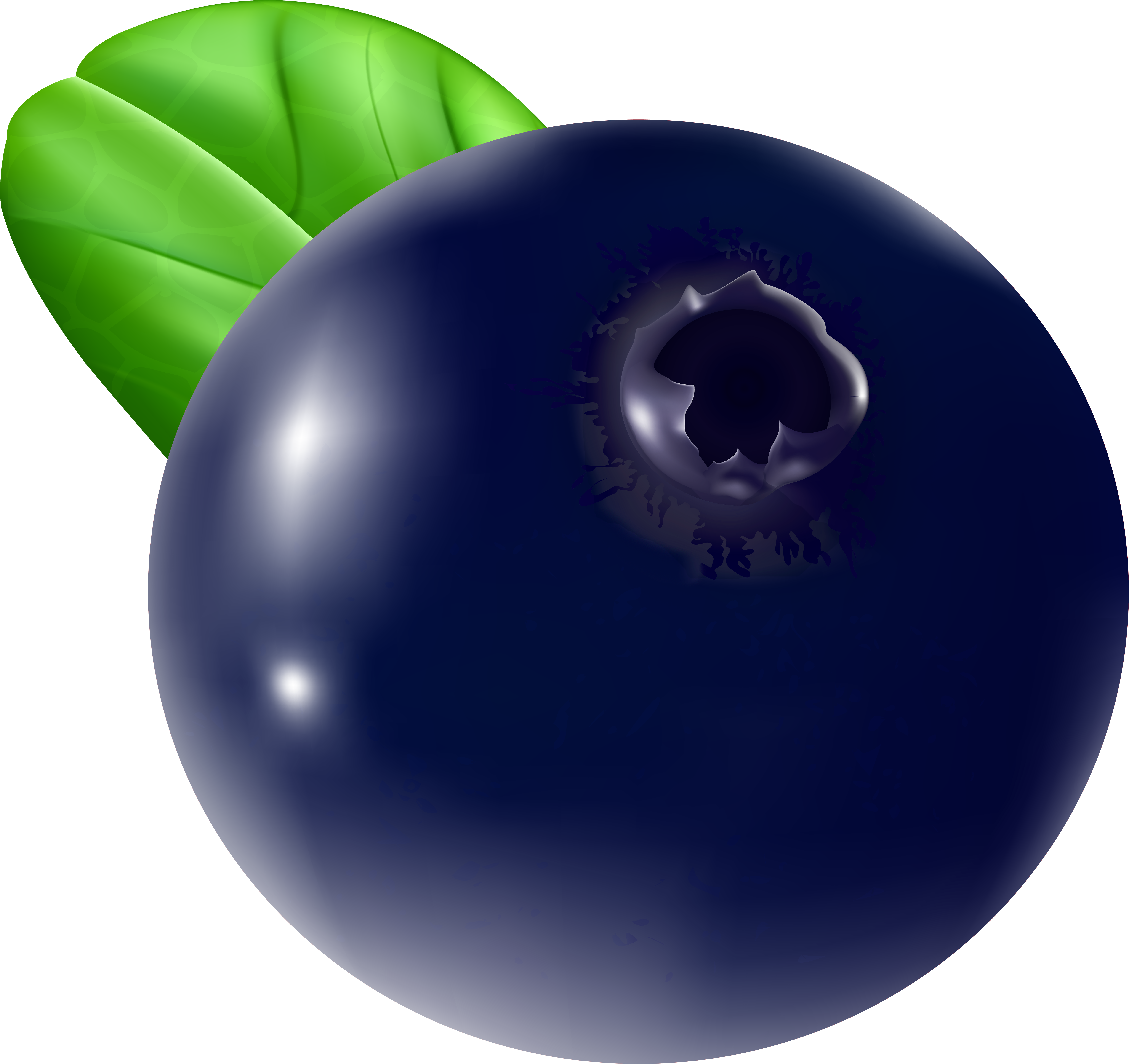 Awesome Design Blueberry Transparent Png Clip Art (7357x7000), Png Download