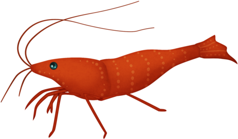 Mlfef-shrimp - Homarus (500x309), Png Download