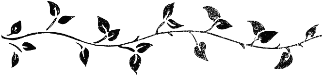 Vine Silhouette Clipart - Vine Silhouette Png (690x174), Png Download