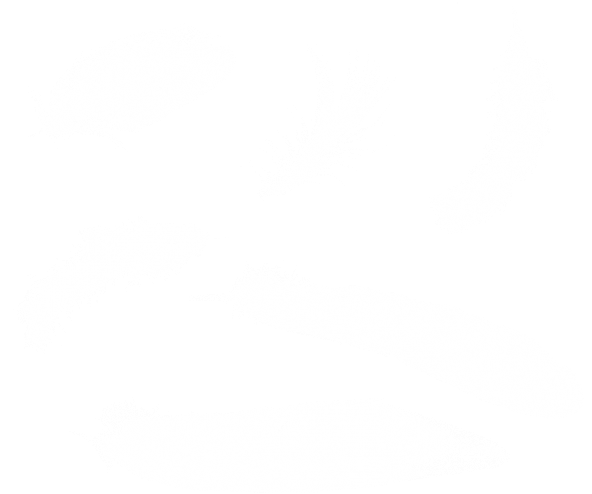 Free Png Feather Png Images Transparent - Feather (850x727), Png Download