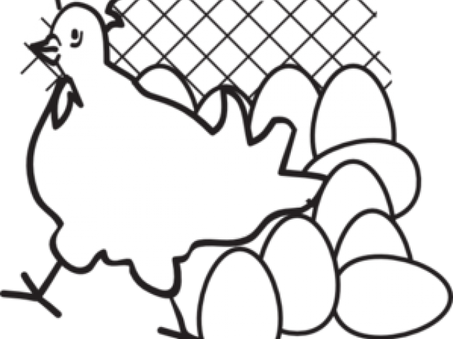 Drawn Chick Egg Png - Black And White Chickens With Eggs (640x480), Png Download