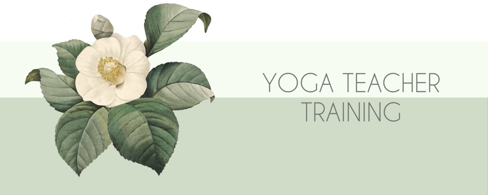 Teacher Training Banner - Vintage Flower Illustrations (1000x400), Png Download