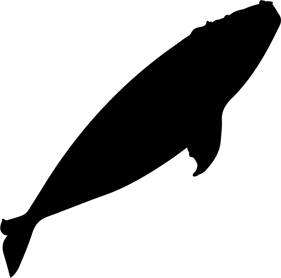 Clip Black And White Stock Right Silhouette Svg Png - Right Whale Silhouette (981x972), Png Download