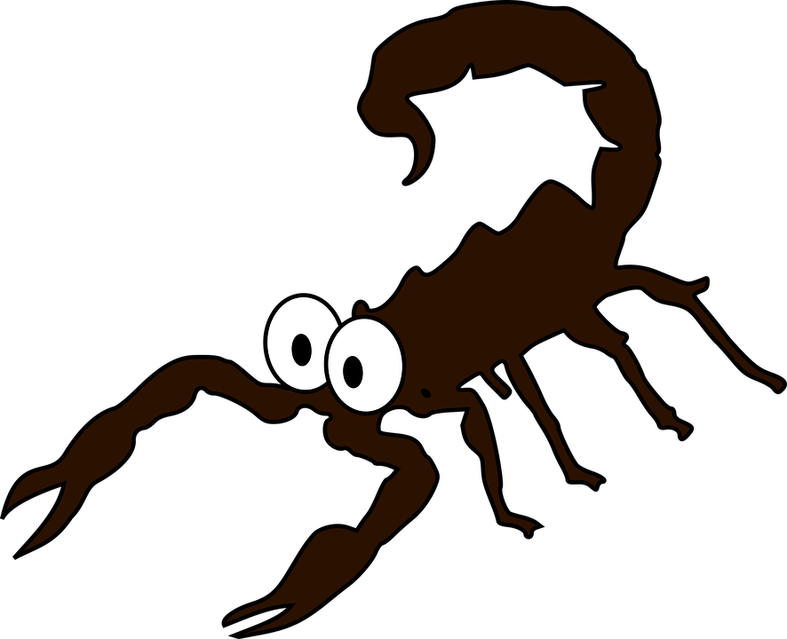 Scorpion Shop Of Clipart Library Buy - Samsung Galaxy J5 Edge Price In India (886x720), Png Download