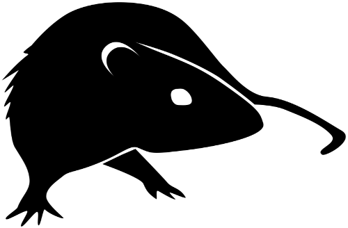 Logo - Rat Logo Black (500x328), Png Download