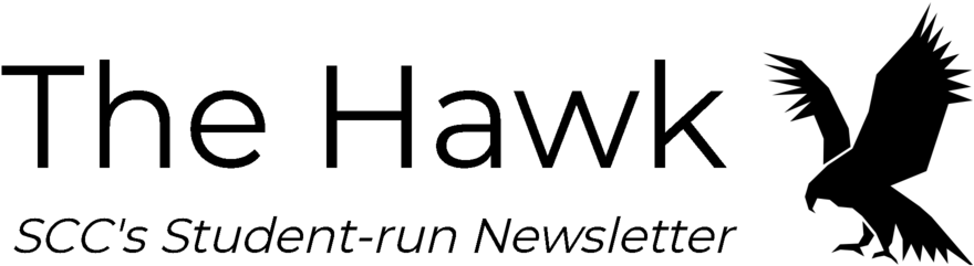 Hawk Logo Png (1000x360), Png Download