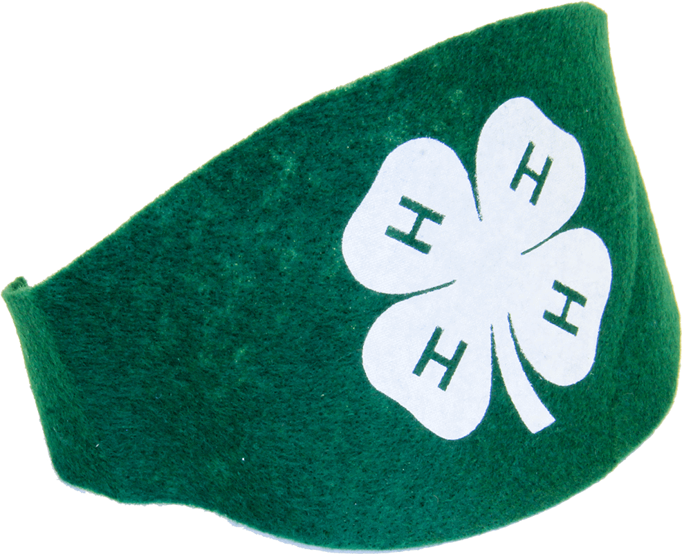 4-h Armband - Carmine (1028x1028), Png Download
