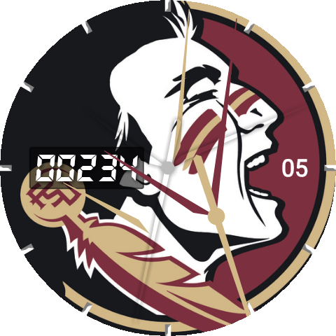 Florida State Gameday Step - Florida State Seminoles Football (480x480), Png Download
