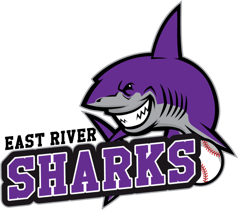 Great White Shark (1000x889), Png Download