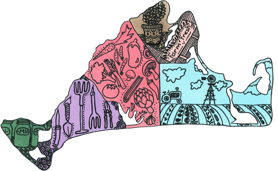 Island Grown Cookie Jar (1000x608), Png Download