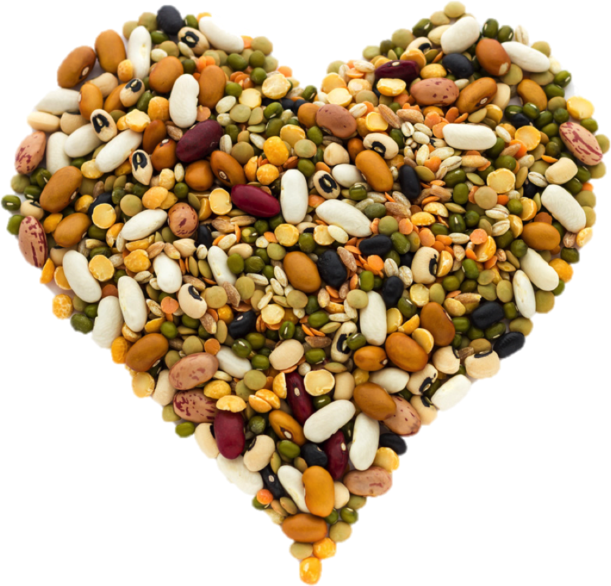 What - Legume (900x900), Png Download