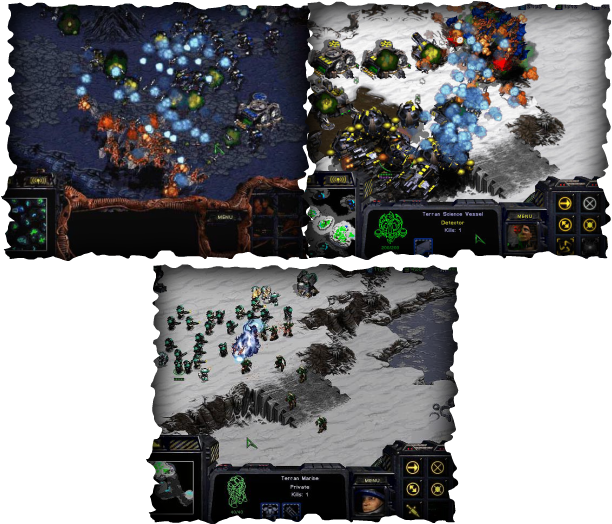 Starcraft Brood War (612x524), Png Download