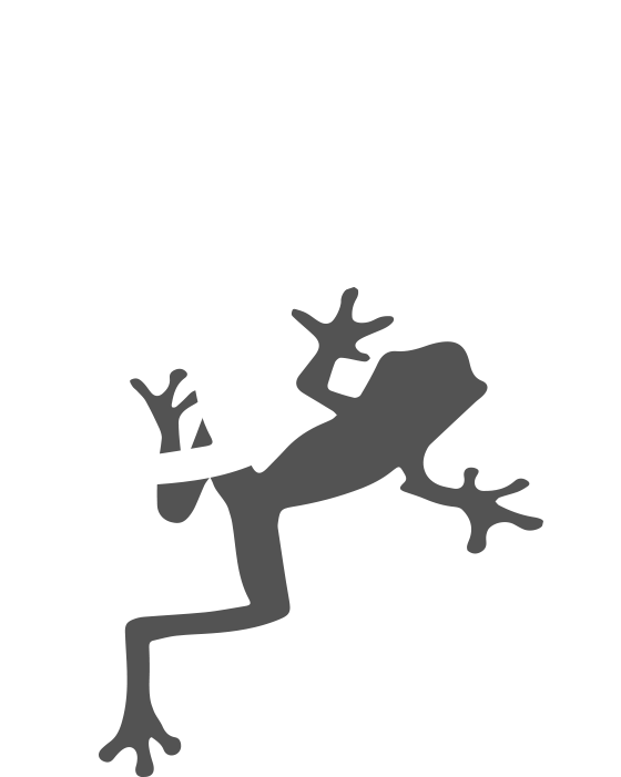 White-frog - Frog (700x700), Png Download