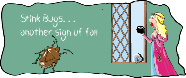 Once Upon A Time, A Princess Lived In A Very Nice Castle - Stink Bug Infestation Cartoons (592x250), Png Download