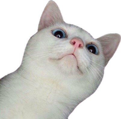 Cat Cute Tumblr Sticker (402x396), Png Download