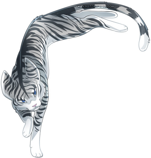 Cat Transparent Tumblr - Silverstream (500x523), Png Download
