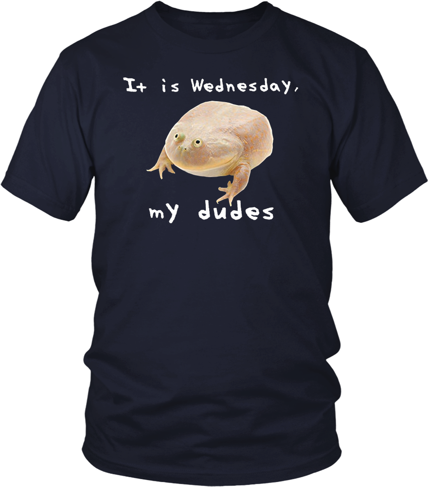 Funny It Is Wednesday My Dudes Frog Meme T-shirt - Donald J Trump Border Wall Construction Co (1000x1000), Png Download