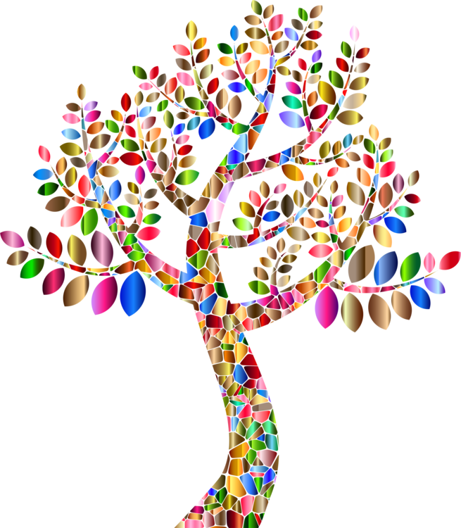 Tree Rainbow Eucalyptus Triangle Prism - Colorful Tree No Background (655x750), Png Download