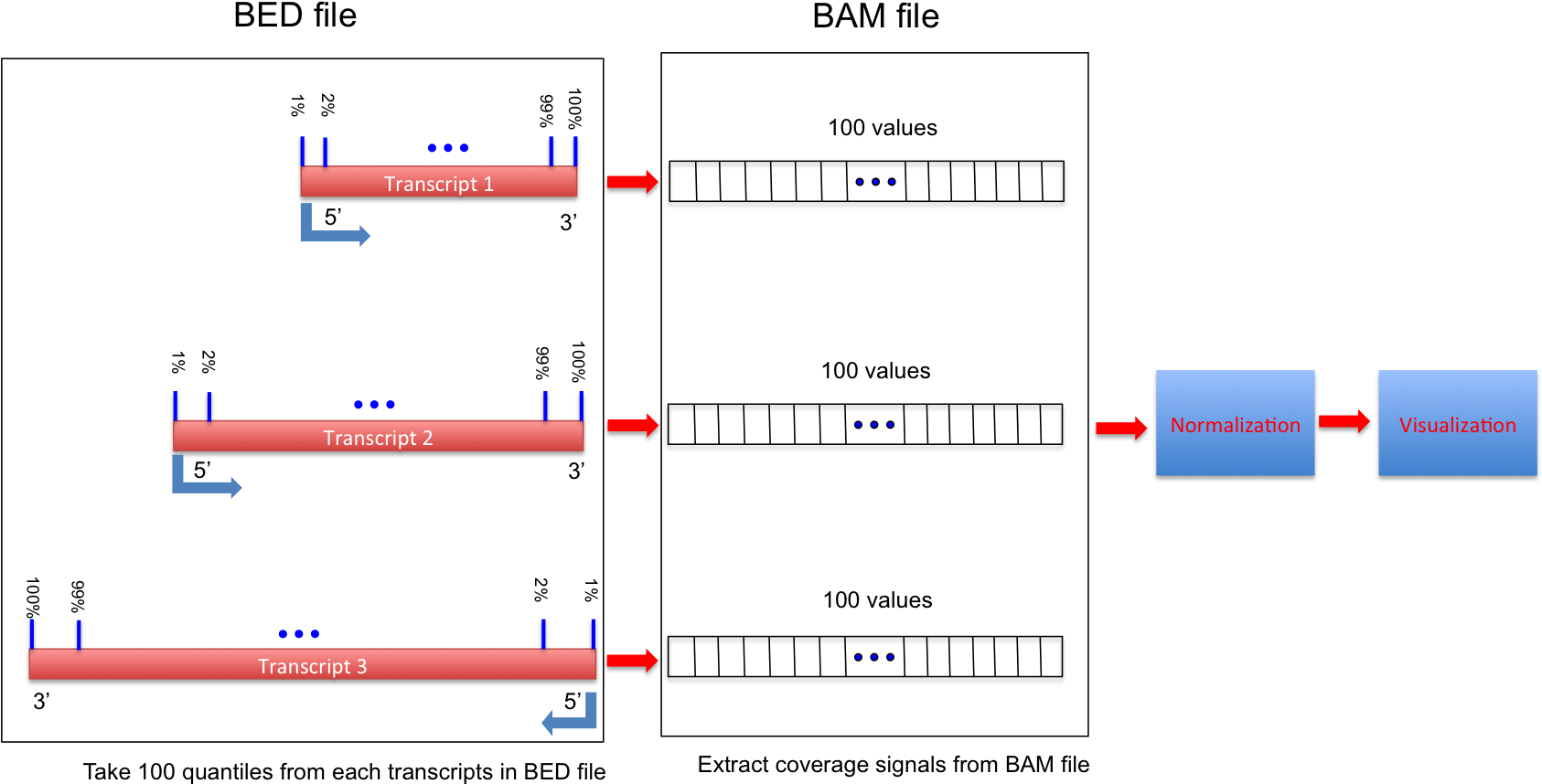 Workflow - Python Plot Bed File (1687x882), Png Download