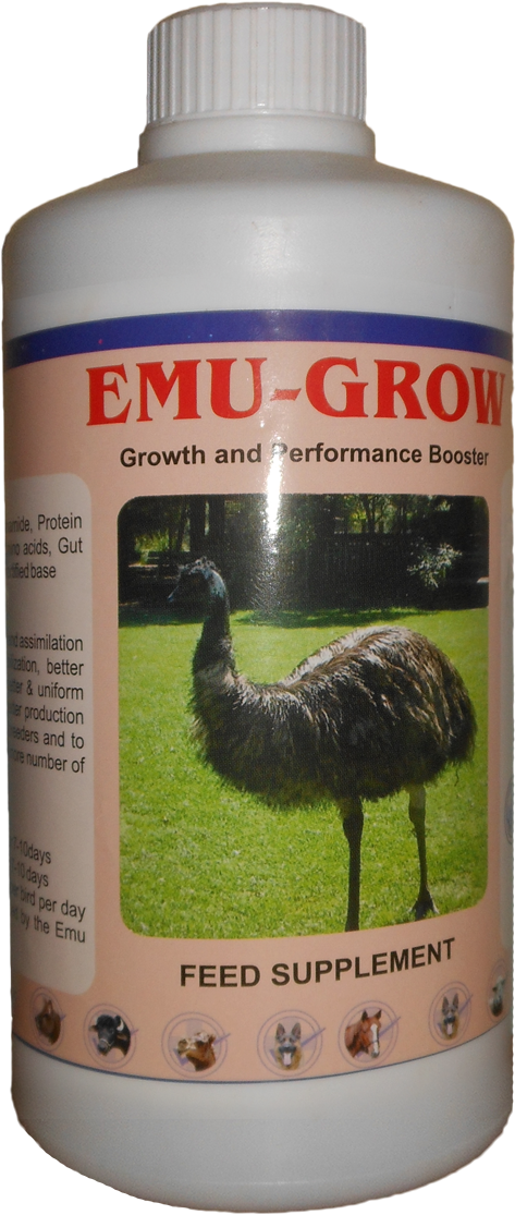 Emu (528x1155), Png Download