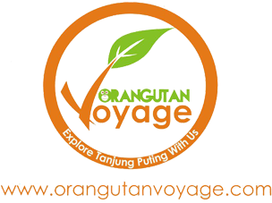 Back Home - Circle (690x261), Png Download