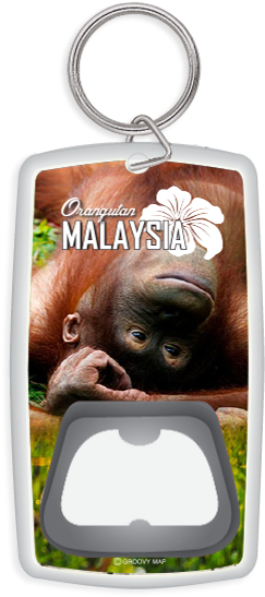Orangutan Malaysia , - Orangutan (315x580), Png Download