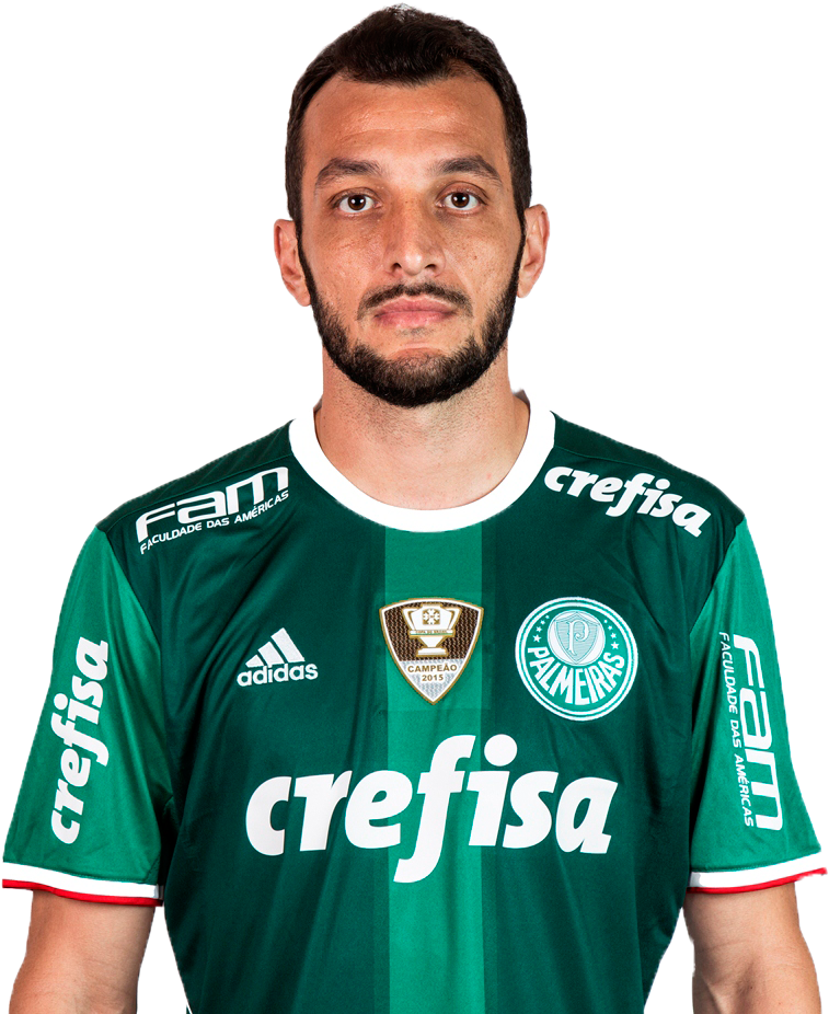 Edudracena - Se Palmeiras Limited Edition Home 2017-2018 Men Jersey (768x1024), Png Download