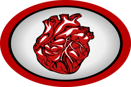 Blood Pressure Heart Png (450x300), Png Download
